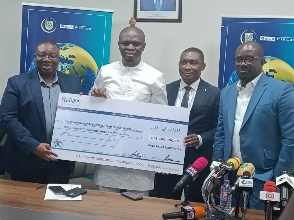 Government wont fund supporters trips to Qatar 2022 - Sports Ministry